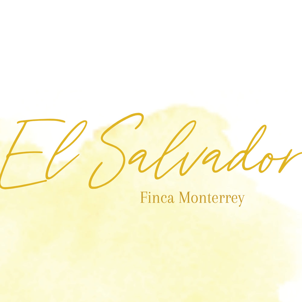 EL SALVADOR - FINCA MONTERREY